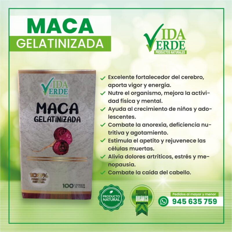 MACA GELATINIZADA VIDA VERDE
